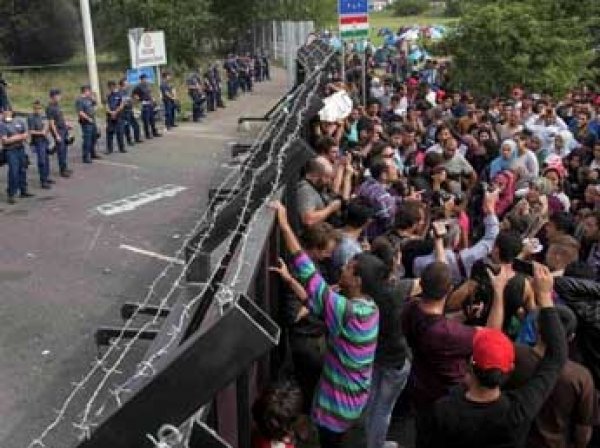 Венгрия начала строить стену на границе с Хорватией из-за мигрантов