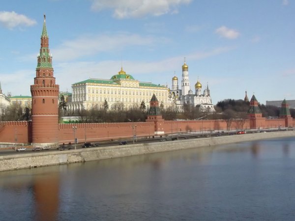 Чек из столовой Кремля шокировал пользователей соцсетей