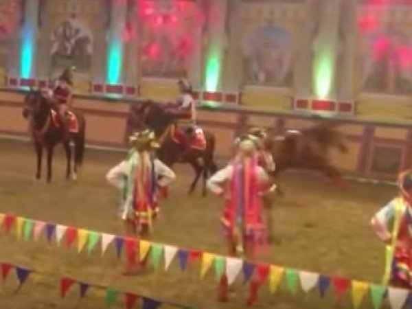 На шоу под Новороссийском лошадь насмерть затоптала наездницу