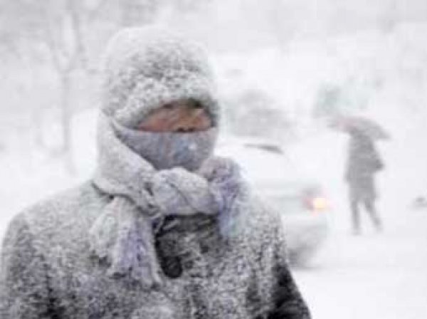 Корейские ученые нашли "русский след" в причинах аномально холодных зим в США и Азии