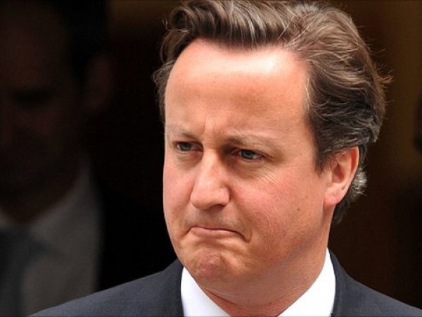 Дэвида Кэмерона обвинили в сексе с мертвой свиньей