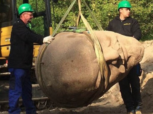 В Германии из земли выкопали гигантскую гранитную голову Ленина