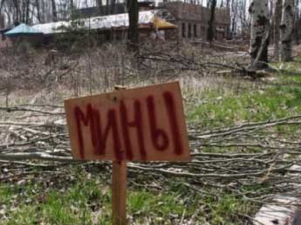 Семья из трех человек подорвалась на растяжке под Донецком