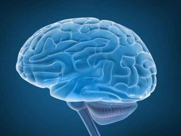 Ученые обнаружили отличия в мозге успешных людей
