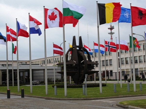 Совет НАТО сделал заявление относительно России в Сирии