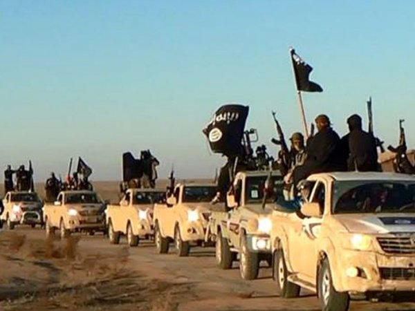 В МИД РФ рассказали, откуда у боевиков ИГИЛ пикапы Toyota