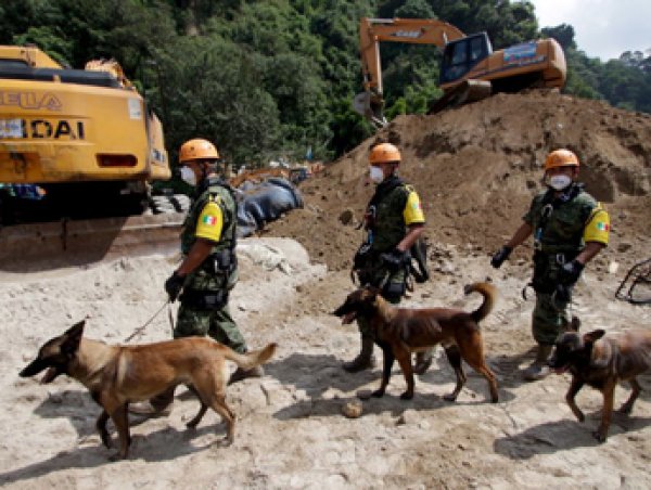 Оползень разрушил город в Гватемале: число погибших превысило 130 человек