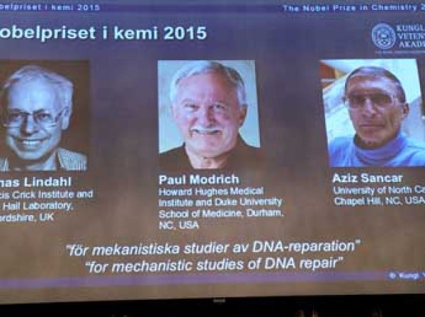 Нобелевскую премию-2015 по химии дали за "ремонт" ДНК