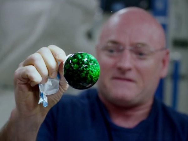 В NASA опубликовали видео эксперимента с водой и краской в невесомости на МКС