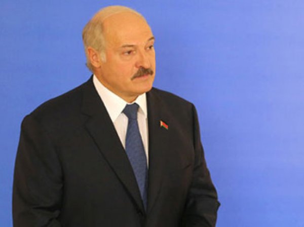 Результаты выборов в Белоруссии 2015: Лукашенко с рекордным числом голосов победил на выборах президента
