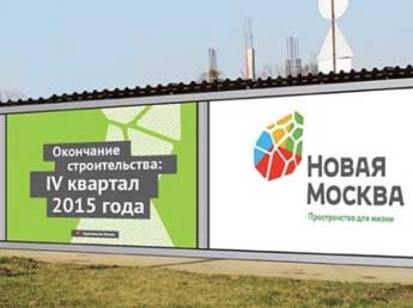 Компания Тины Канделаки разработала логотип Новой Москвы за 15 млн рублей
