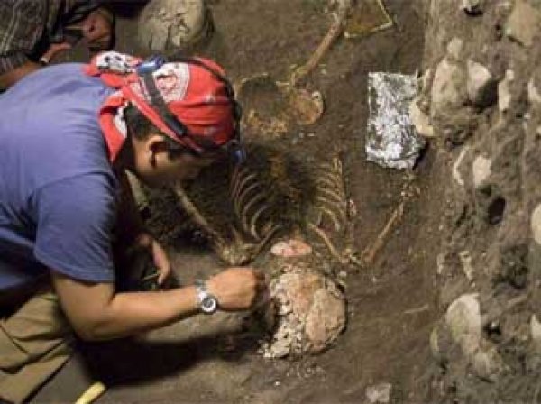 В Испании найдены останки последнего общего предка обезьян и человека