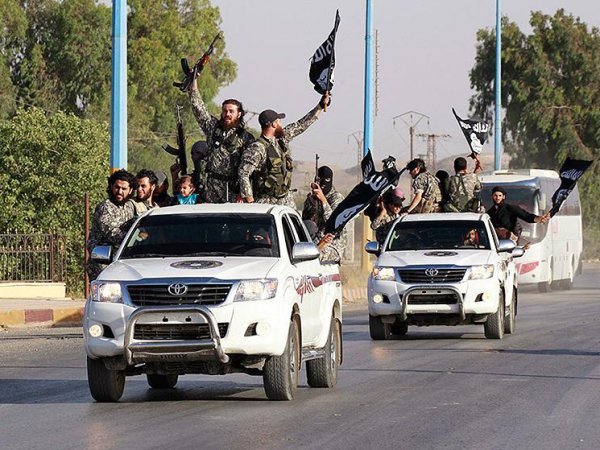В США решили выяснить, кто поставляет ИГИЛ внедорожники Toyota