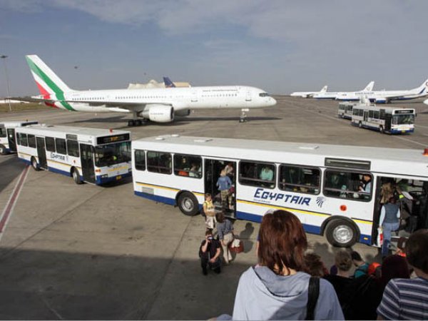 В Египте местные гиды подрались с российскими туристами в аэропорту
