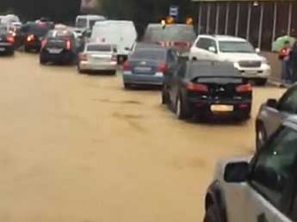 Трасса Сочи-Адлер из-за дождя ушла под воду (фото, видео)
