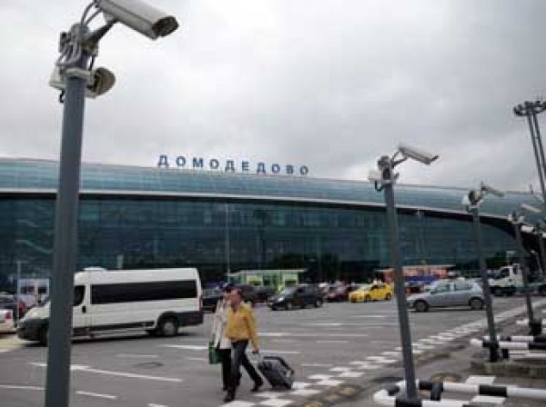 СМИ узнали, почему закрыли дело о теракте в Домодедово