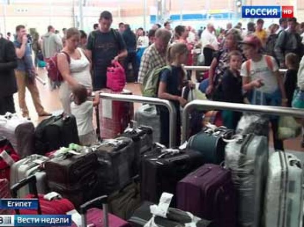 Эксперты из России завершили аудит безопасности аэропортов Египта