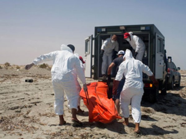 Причины куршения самолета в Египте назвали в ФСБ: это был теракт (видео)