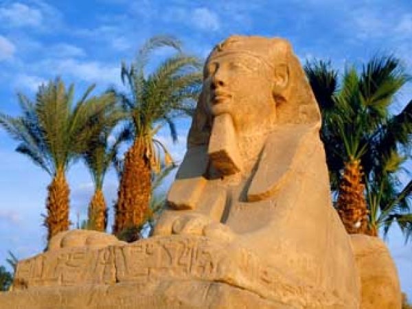 Ростуризм: туроператорам запретили отправлять туристов в Египет через другие страны