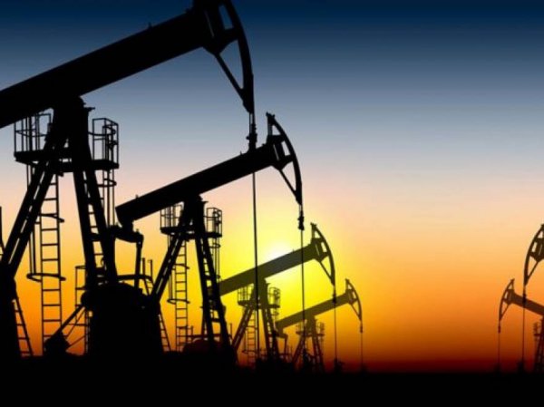 Курс доллара на сегодня, 12 ноября 2015: сезонный рост запасов нефти исчерпывает потенциал давления на цены — эксперты