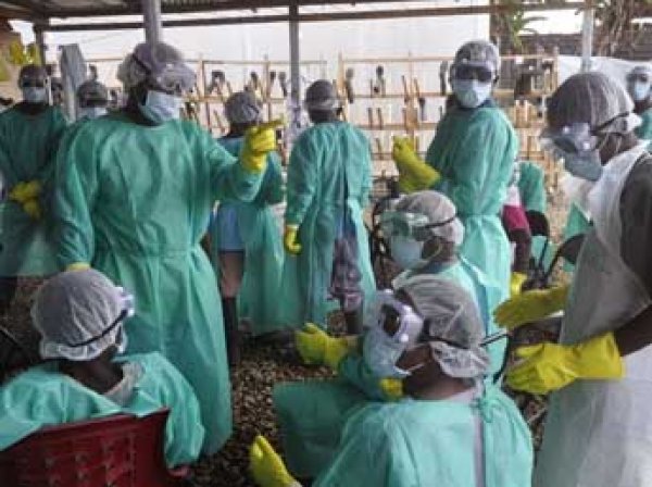 В Гвинее вылечили последнего пациента с лихорадкой Эбола