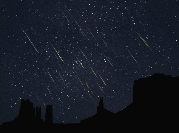 Метеорный поток Леониды 2015: пик звездопада придётся на ночь с 17 на 18 ноября