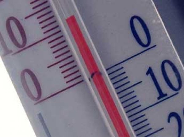 Пятый подряд температурный рекорд побит 24 декабря в Москве