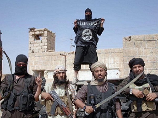 Боевики ИГИЛ: Обама мы объявляем тебя нашим халифом
