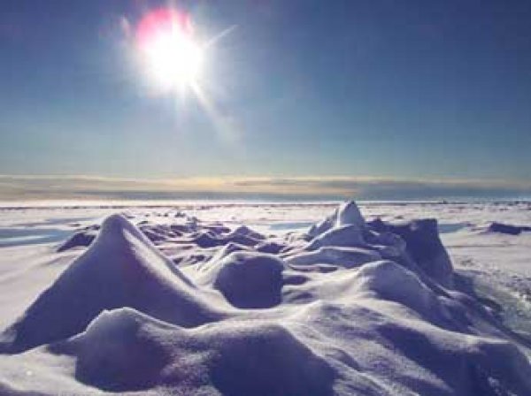 Ученые: в Арктике температура поднялась до рекордной отметки за 115 лет