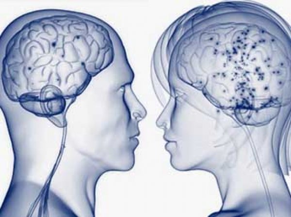 Ученые развенчали миф о «мужском» и «женском» мозге