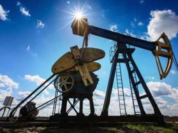 ОПЕК: цены на нефть вырастут до  за баррель к 2040 году