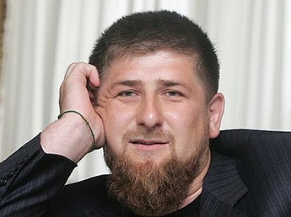Рамзан Кадыров нокаутировал бойца ММА