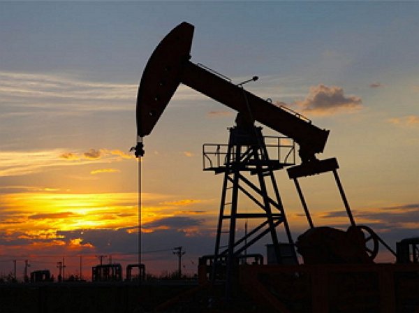 "Газпром нефть" предсказал цену на нефть в  за баррель