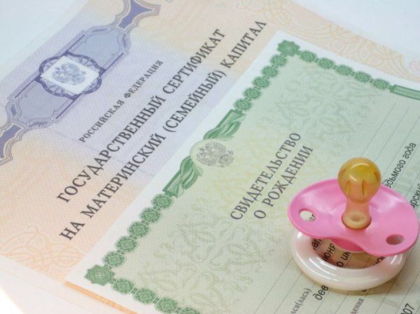 В правительство внесли законопроект о продлении материнского капитала на 2 года