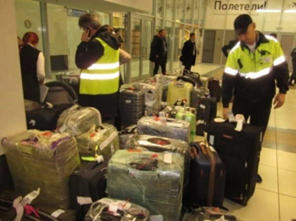МЧС завершило перевозку багажа российских туристов из Египта