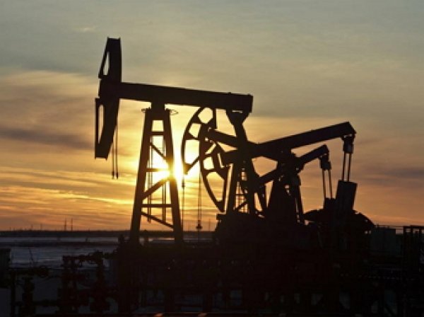 Цена нефть марки Brent рухнула ниже  за баррель