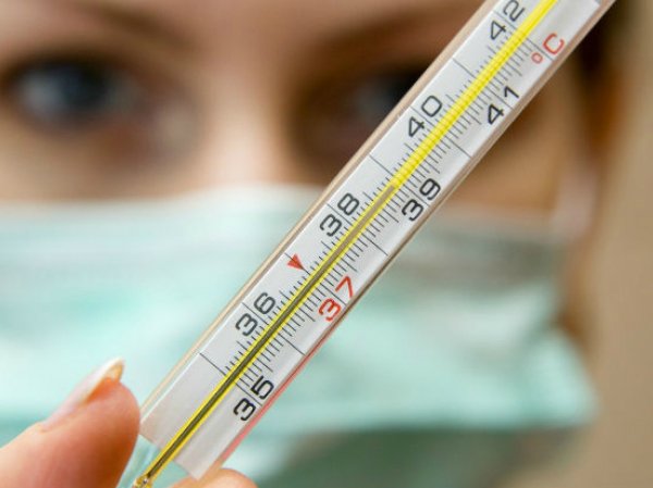 Свиной грипп, симптомы: что нужно знать о болезни, рассказал известный вирусолог