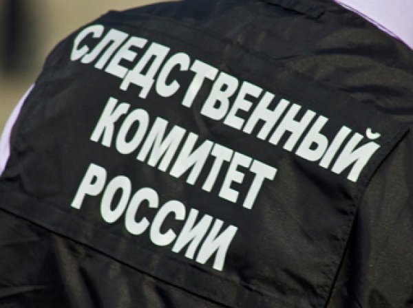 В московской школе сверстники изнасиловали 13-летнюю девочку