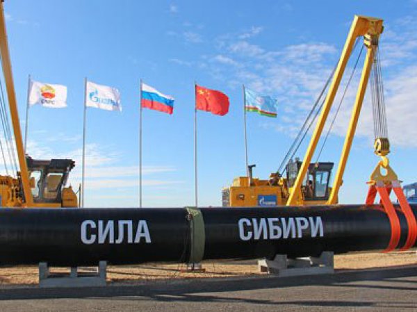 "Газпром" объявил новый "срочный" тендер на участке газопровода "Силы Сибири"