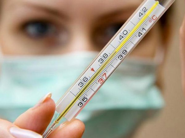Свиной грипп, симптомы эпидемии: ажиотаж в России 2016 вокруг болезни назвали искусственным
