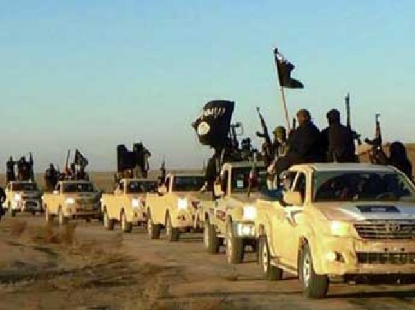 Эксперты: боевики ИГИЛ получают ингредиенты для бомб из Турции и Ирака