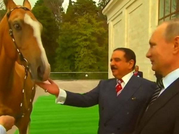 Путин подарил королю Бахрейна коня-чемпиона ахалтекинской породы