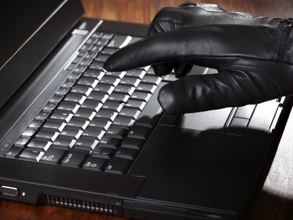 Полиция пресекла деятельность кибербанды, готовившей масштабное хищение денег из банков РФ