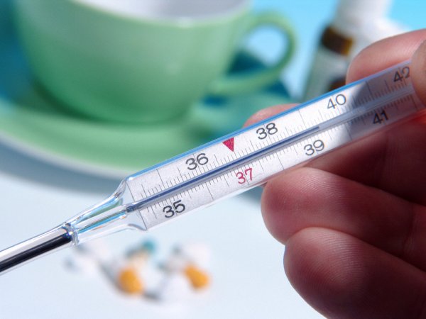 Свиной грипп, симптомы: Минздрав ожидает в марте 2016 вторую волну гриппа в России