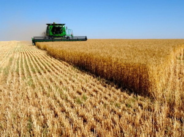 Турция пригрозила нанести "больший удар" по сельскому хозяйству России