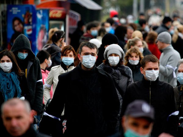 Свиной грипп, симптомы: эпидемия в России 2016 вышла на пиковые значения