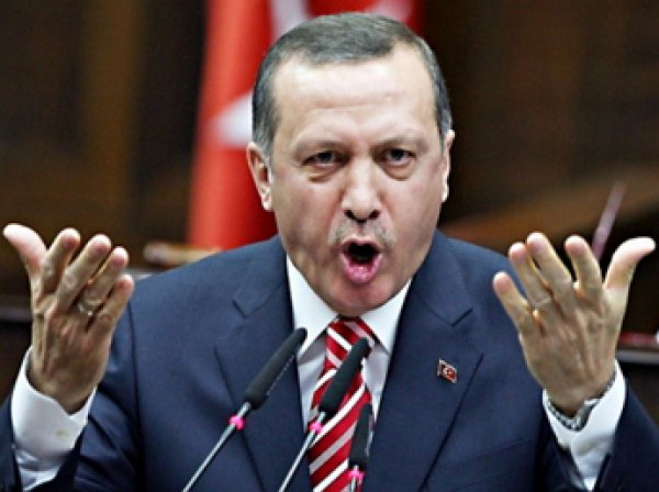 Турецкого мальчика задержали за оскорбительный пост в отношении Эрдогана в Facebook