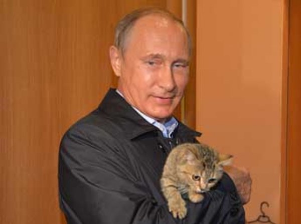 Кремль предупредил о готовящемся "вбросе" против Путина