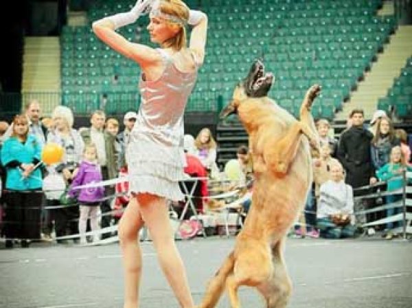 Чемпионат мира по танцам с собаками в 2016 году впервые пройдет в Москве