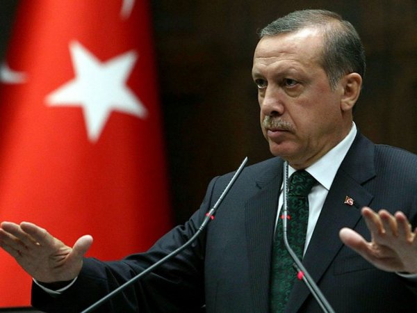 Немецкого посла вызвали в МИД Турции после видео про Эрдогана